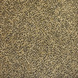 Kane Carpet
Sophisticated Skins